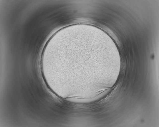 X0000116611339201001221311