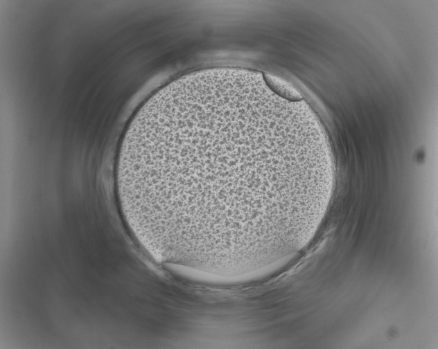 X0000116611341201001221311