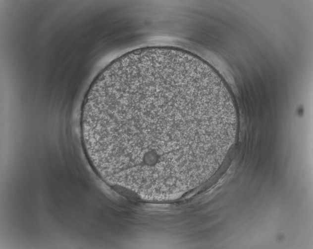 X0000116611342201001221311