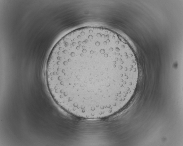 X0000116611343201001221311