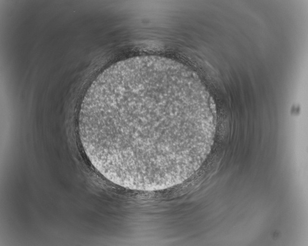 X0000116611345201001221310