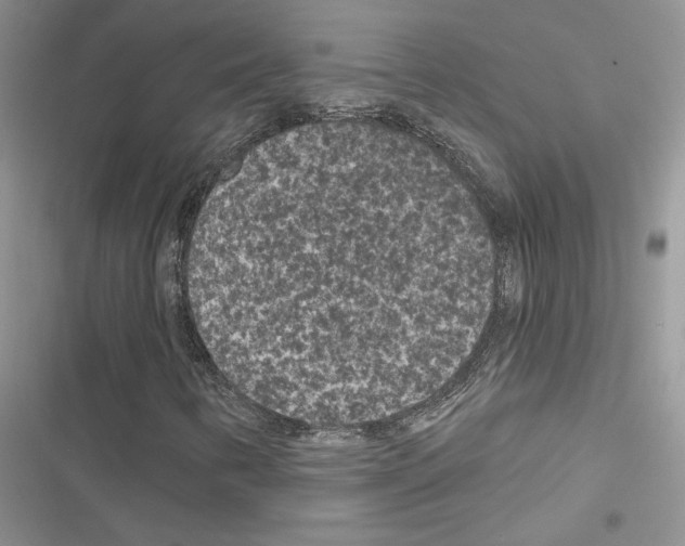 X0000116611346201001221310