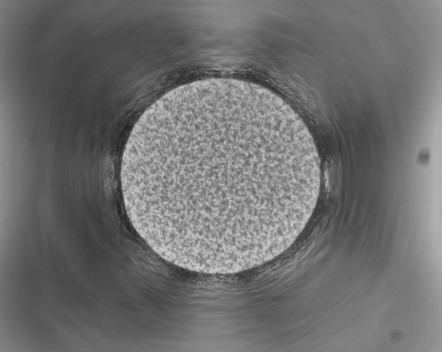 X0000116611347201001221310