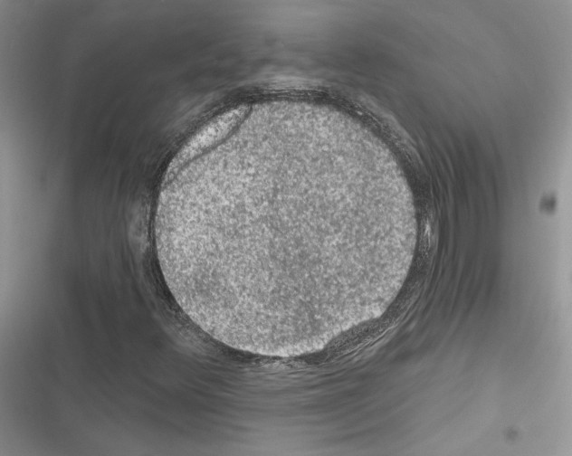 X0000116611348201001221310