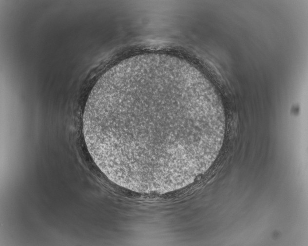 X0000116611349201001221310