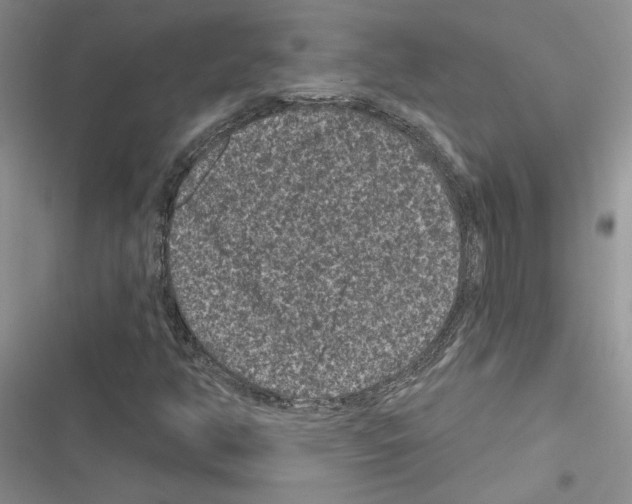 X0000116611350201001221310