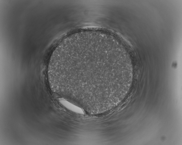 X0000116611351201001221310