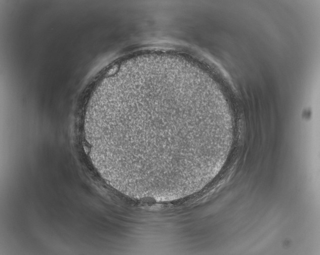 X0000116611352201001221310