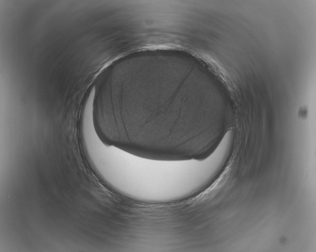 X0000116611353201001221310