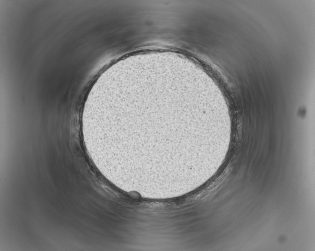 X0000116611355201001221310