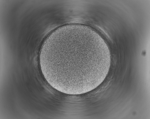 X0000116611356201001221310