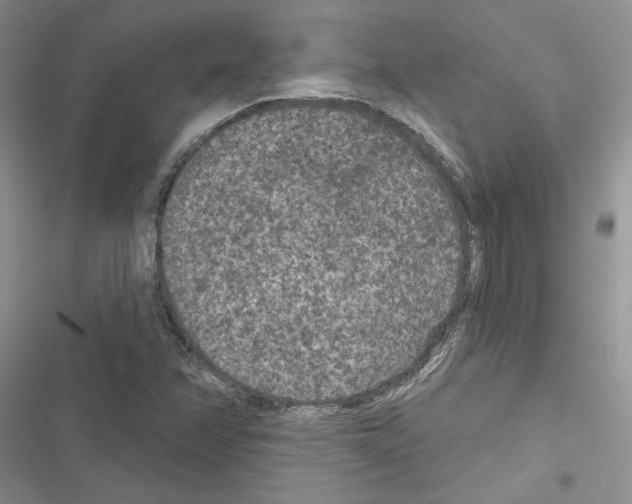 X0000116611358201001221310