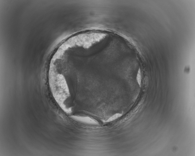 X0000116611359201001221310