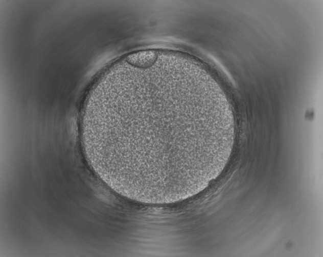 X0000116611360201001221310