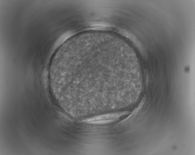 X0000116611362201001221310