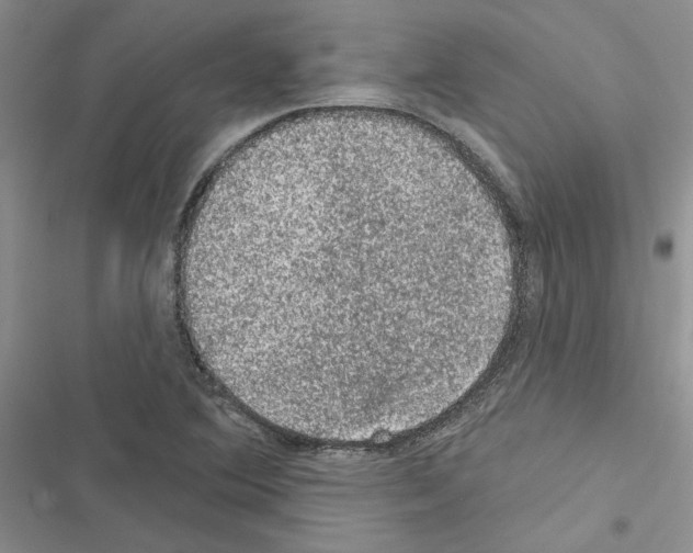 X0000116611364201001221310