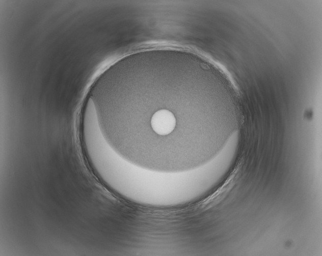 X0000116611365201001221310