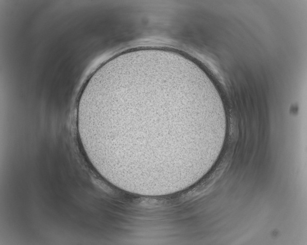 X0000116611366201001221310