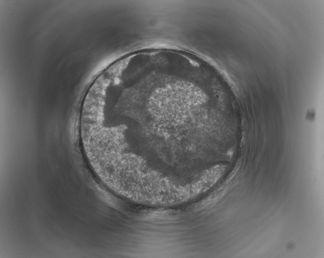 X0000116611367201001221310