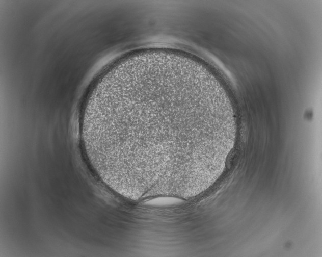 X0000116611368201001221310