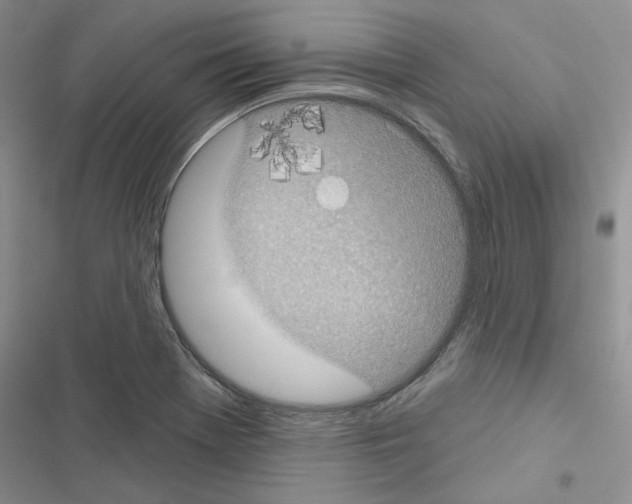 X0000116611369201001221310