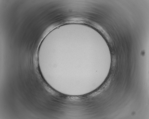 X0000116611370201001221310