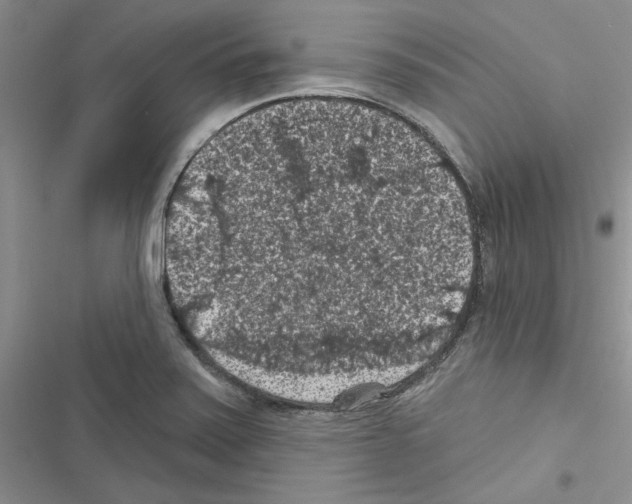 X0000116611371201001221310