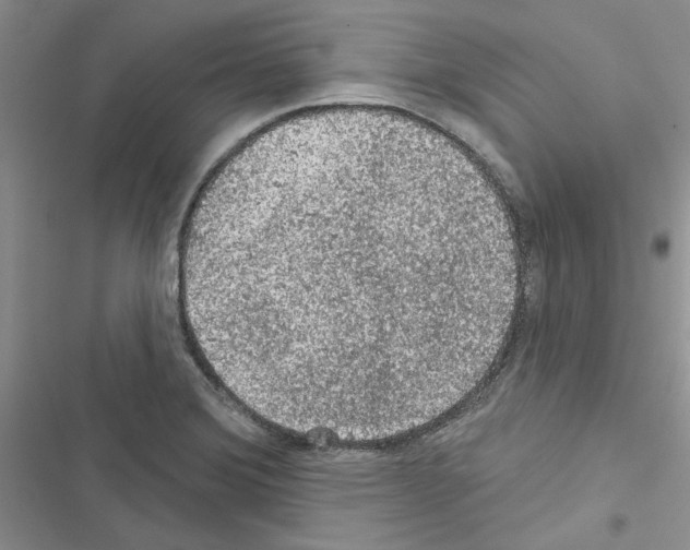 X0000116611372201001221310