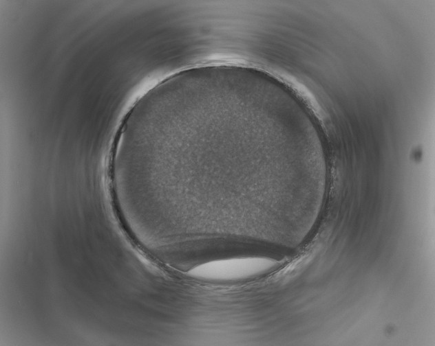 X0000116611373201001221310