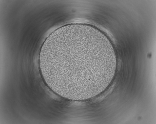 X0000116611374201001221310