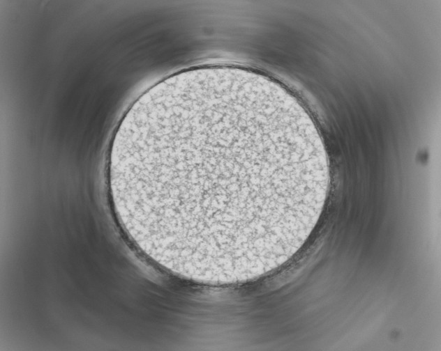 X0000116611375201001221310