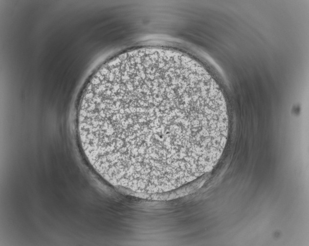 X0000116611376201001221310