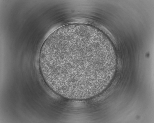 X0000116611378201001221310