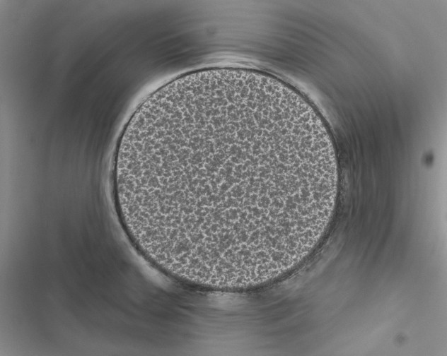 X0000116611379201001221310