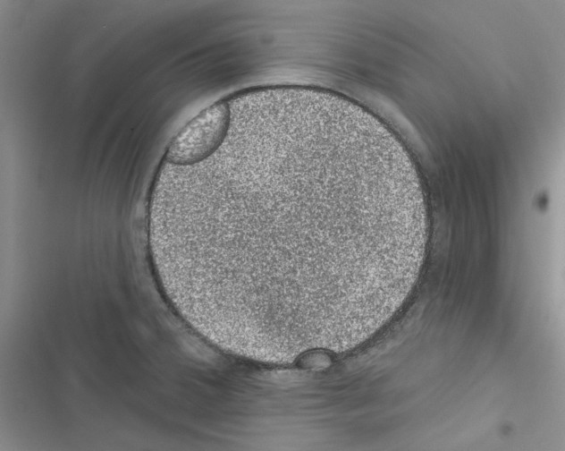 X0000116611380201001221310