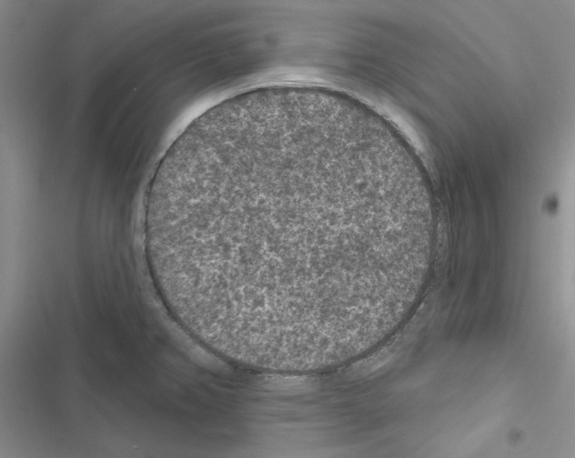 X0000116611382201001221310