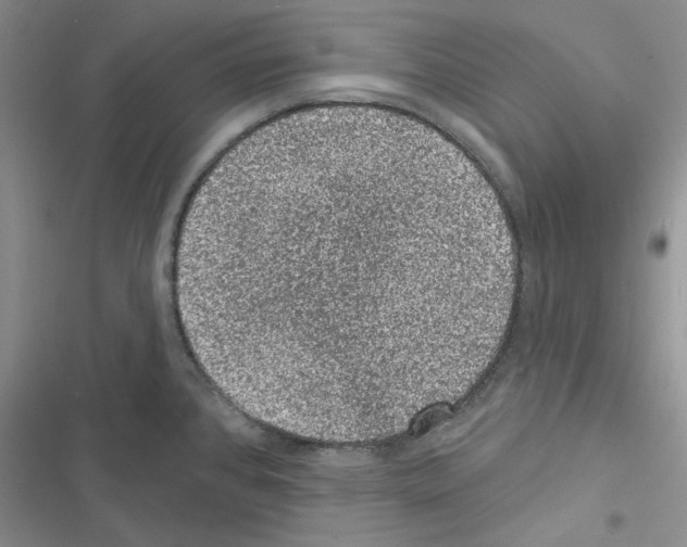 X0000116611384201001221310