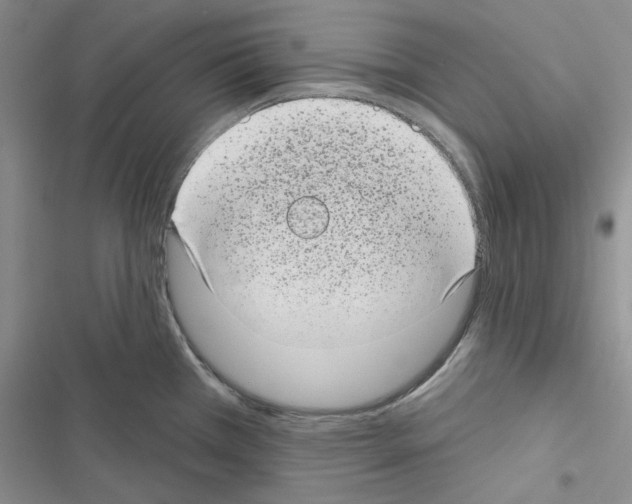 X0000116611385201001221310