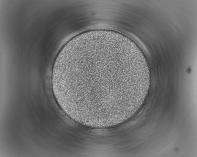 X0000116611388201001221310