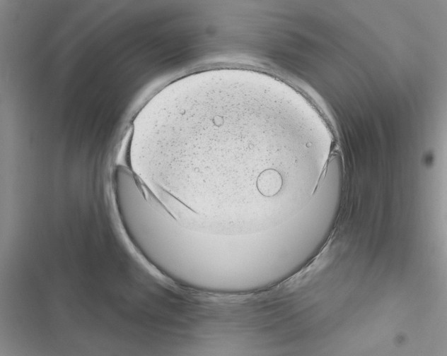 X0000116611389201001221310