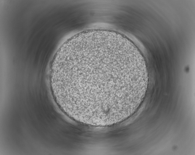 X0000116611390201001221310