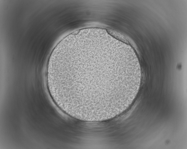 X0000116611391201001221310