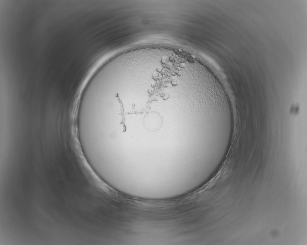 X0000116611392201001221310