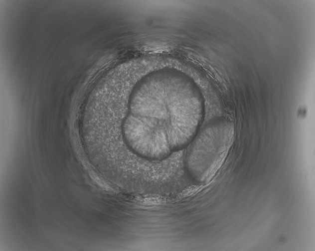 X0000116611393201001221309