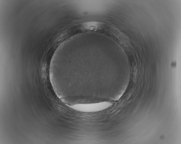 X0000116611394201001221309