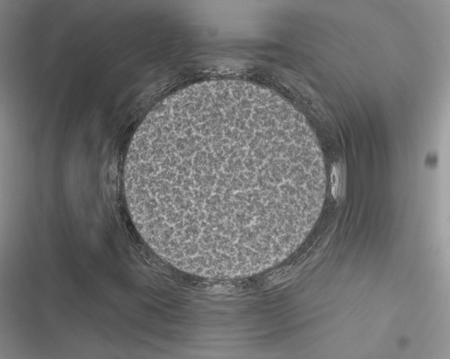 X0000116611395201001221309