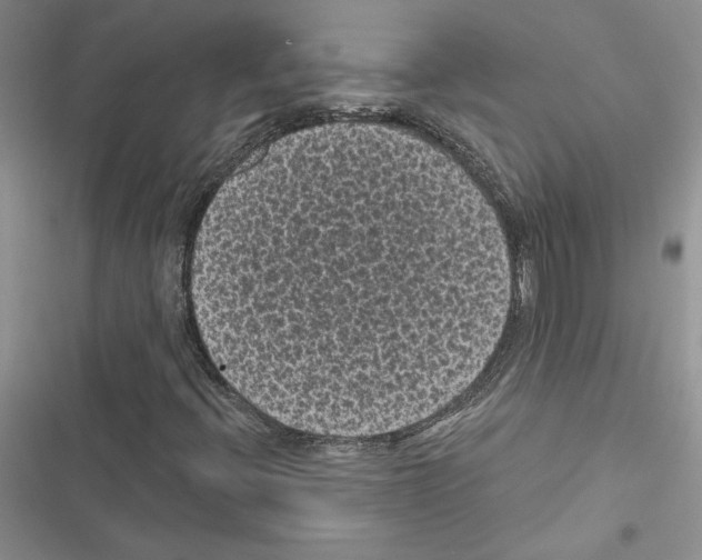 X0000116611396201001221309