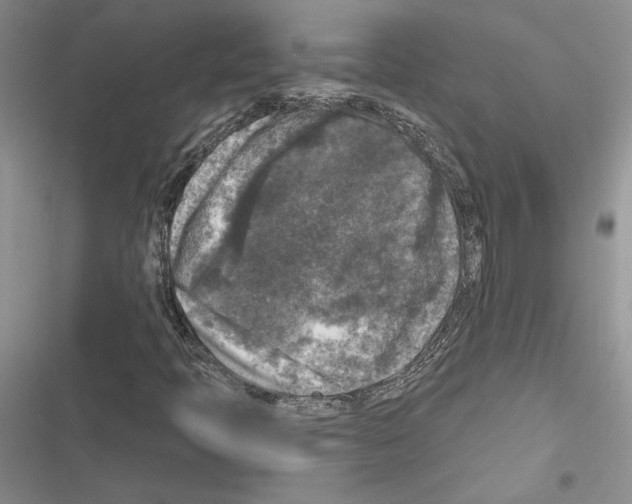 X0000116611397201001221309