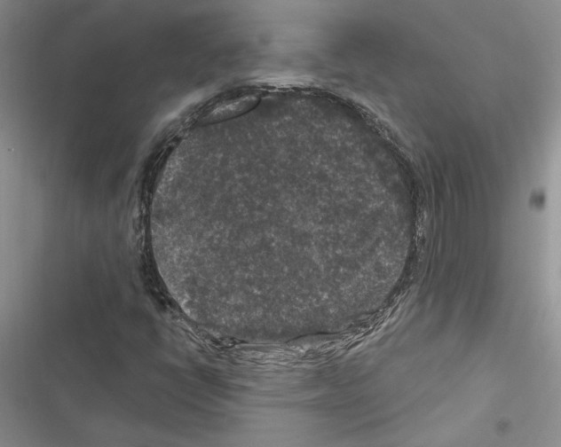 X0000116611398201001221309