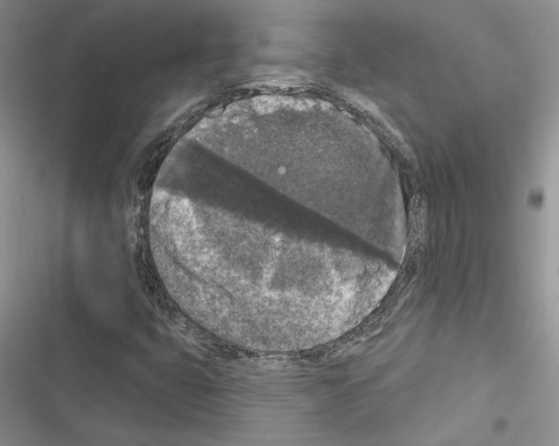 X0000116611399201001221309